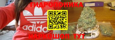 трава Кандалакша
