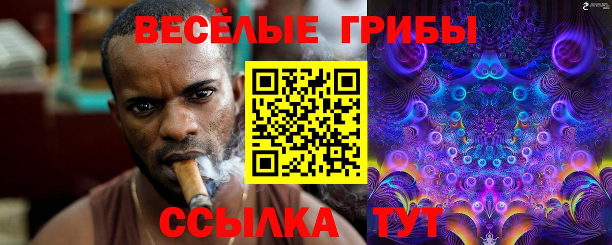 купить  цена  Вход с VPN  Лесной  Галлюциногенные грибы мицелий  Псилоцибиновые грибы Magic Shrooms 