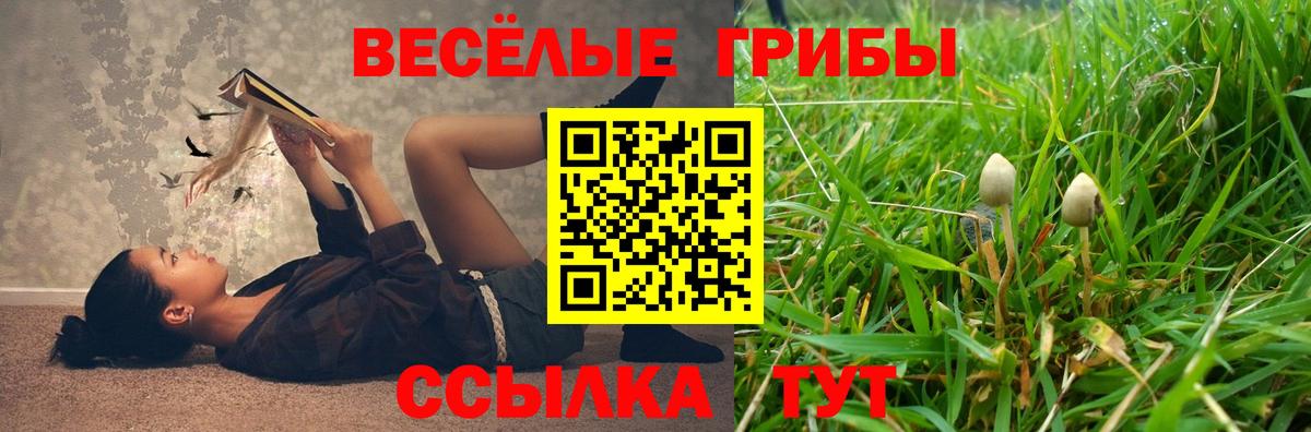 Галлюциногенные грибы прущие грибы Лесной